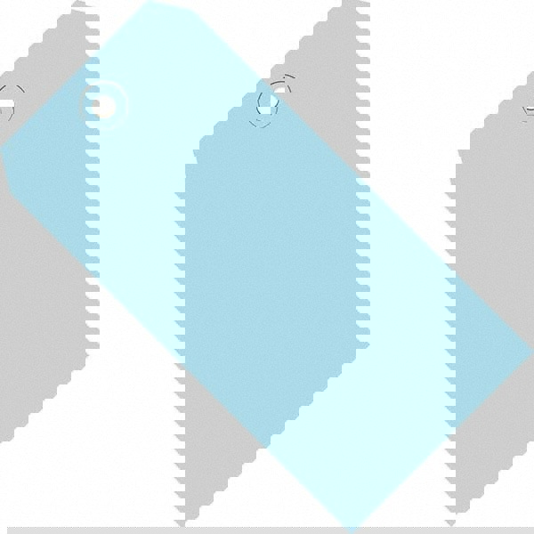 Blank Tag: 5-3/4'' High, Light Blue, Synthetic Paper